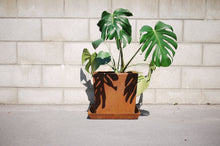 Load image into Gallery viewer, Front view of Corten NZ's 300mm Square Tapered Planter with a Monstera Deliciosa plant.