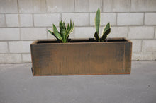 Load image into Gallery viewer, Front view of Corten NZ's 1200mm Long Planter with Sansevierias (Snake Plants).
