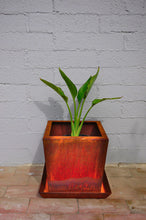 Load image into Gallery viewer, Front view of Corten NZ's 300mm Square Tapered Planter with a Bird of Paradise plant.