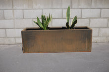 Load image into Gallery viewer, Front view of Corten NZ&#39;s 1200mm Long Planter with Sansevierias (Snake Plants).
