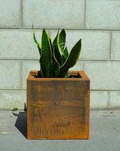 Load image into Gallery viewer, Front view of Corten NZ&#39;s 300mm wide square planter with a Sansevieria (Snake Plant). 
