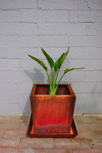Load image into Gallery viewer, Front view of Corten NZ&#39;s 300mm Square Tapered Planter with a Bird of Paradise plant.

