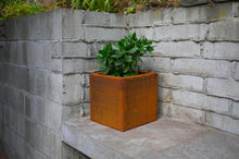 Load image into Gallery viewer, Side view of Corten NZ&#39;s 300mm wide square planter with a Crassula ovata plant.
