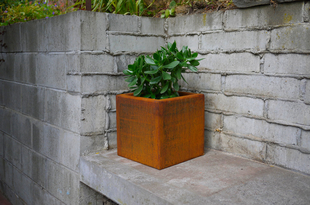 Side view of Corten NZ's 300mm wide square planter with a Crassula ovata plant.